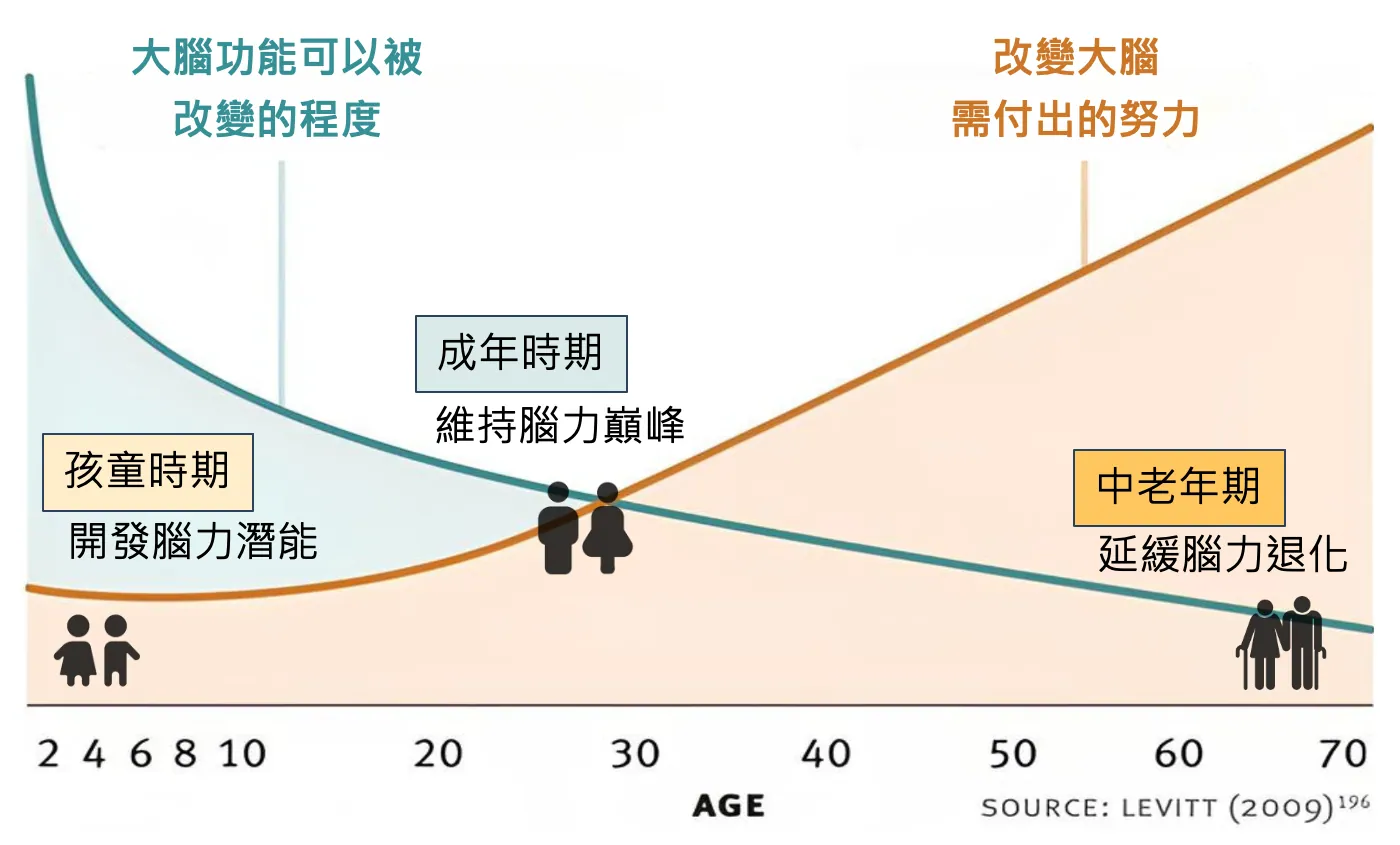 大腦可塑性與年齡的關係圖：藍色線為大腦可被改變的程度，隨年齡下降；橘色線為改變所需付出的努力，隨年齡上升